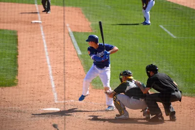 DSC_1634 (Large).JPG